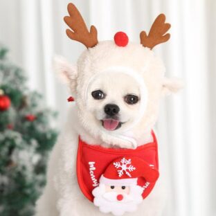 ドッグウェア　クリスマス用セットアップ　トナカイ帽子＆サンタスタイ　犬服